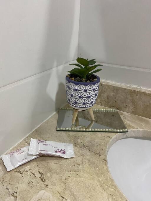 Апартаменти Flat Elegante E Bem Localizado Фейра-де-Сантана Екстер'єр фото